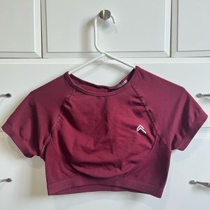 Oner Active Effortless Seamless Short Sleeve Crop Top in Rosewood